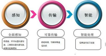 万物智联，未来已来 科技巨头布局下的物联网发展趋势与通信系统集成挑战